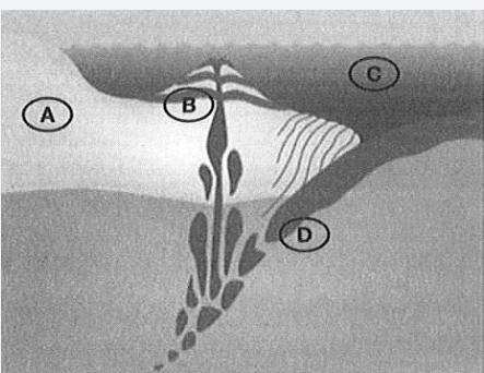 Plate Tectonics托福听力红Delta原文翻译及问题答案