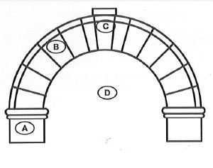 Arch 托福红Delta听力原文翻译及问题答案